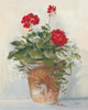 Potted Geraniums II Light Poster Print by Carol Rowan # 61000