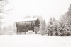 First Snow BW Crop Poster Print by Aledanda Aledanda # 60966