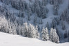 North Cascades in Winter III Poster Print by Alan Majchrowicz # 60623