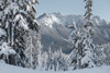 Nooksack Ridge in Winter Poster Print by Alan Majchrowicz # 60625