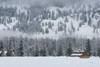 Methow Valley Barn Poster Print by Alan Majchrowicz # 60629