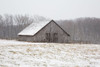 First Snow Poster Print by Aledanda Aledanda # 60531