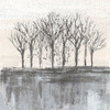 Trees at Dawn II Neutral Poster Print by Silvia Vassileva # 60555