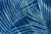 Cyanotype Tropical VIII Poster Print by Nancy Green # 60519