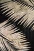 Natural Palms on Black III Poster Print by Patricia Pinto # 6004DH