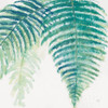 Ferns III Square Cool Poster Print by Chris Paschke # 59774