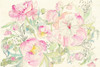 Peony Garden Poster Print by Kristy Rice # 59826
