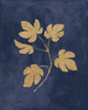 Botanical Study III Gold Navy Poster Print by Julia Purinton # 58305