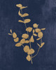 Botanical Study II Gold Navy Poster Print by Julia Purinton # 58304