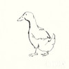 Line Duck I Poster Print by Chris Paschke # 58323