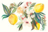 Citrus Summer I Poster Print by Kristy Rice # 58102