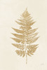 Fern Print I Gold No Shiplap Poster Print by Moira Hershey # 57690