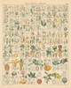 Flora Chart I Poster Print by Wild Apple Portfolio Wild Apple Portfolio # 57995
