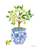 Lemon Chinoiserie I Poster Print by Farida Zaman # 57691