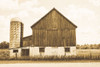 Weathered III Sepia Poster Print by Elizabeth Urquhart # 57696