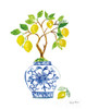 Lemon Chinoiserie II Poster Print by Farida Zaman # 57692