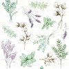 Farmhouse Cotton Pattern I Sage Poster Print by Beth Grove # 57549