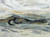Estuary Poster Print by Silvia Vassileva # 57256