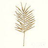 Gilded Palm VI Poster Print by Chris Paschke # 57204