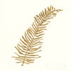 Gilded Fern I Poster Print by Chris Paschke # 57195