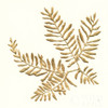 Gilded Fern II Poster Print by Chris Paschke # 57196