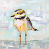 Coastal Plover II Neutral Poster Print by Jeanette Vertentes # 56825