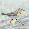 Coastal Plover I Neutral Poster Print by Jeanette Vertentes # 56824