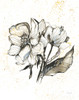 Elegance III MB Poster Print by Kristy Rice # 59145
