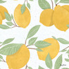 Fruity Cocktails Pattern II Poster Print by Becky Thorns # 58893