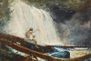 Waterfall in the Adirondacks Poster Print by Winslow Homer # 56120