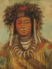 Boy Chief - Ojibbeway Poster Print by George Catlin # 56056