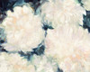Blushing Summer I Navy Poster Print by Julia Purinton # 56053
