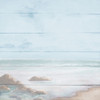 Atlantic Coast I Poster Print by Michael Marcon # 5855CC