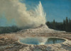 Geyser, Yellowstone Park Poster Print by Albert Bierstadt # 55964