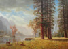 The Hetch Hetchy Valley, California Poster Print by Albert Bierstadt # 55969