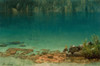 Lake Scene Poster Print by Albert Bierstadt # 55822
