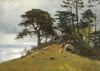 Cypress Point, Monterey Poster Print by Albert Bierstadt # 55887
