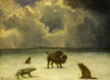 Trapped Poster Print by Albert Bierstadt # 55817