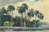 Red Shirt, Homosassa, Florida Poster Print by Winslow Homer # 55688