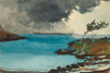 The Coming Storm Poster Print by Winslow Homer # 55686