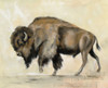 Bronze Buffalo Poster Print by Silvia Vassileva # 55655