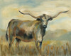 Longhorn Cow Poster Print by Silvia Vassileva # 55653