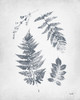 Walk in the Woods I Poster Print by Moira Hershey # 56388