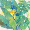 Tropical Paradise Poster Print by Albena Hristova # 56279
