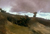 The West Wind Poster Print by Winslow Homer # 56149