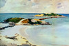 Gallows Island Poster Print by Winslow Homer # 56165