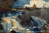 Casting in the Falls Poster Print by Winslow Homer # 56215