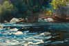 The Rapids, Hudson River, Adirondacks Poster Print by Winslow Homer # 56227