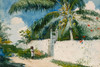 A Garden in Nassau Poster Print by Winslow Homer # 56196