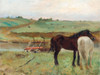 Horse in a Meadow Poster Print by Edgar Degas # 55436